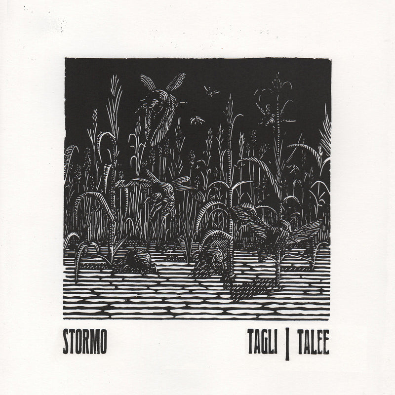 STORM{O} "STORM{O} - Tagli/Talee" 12"