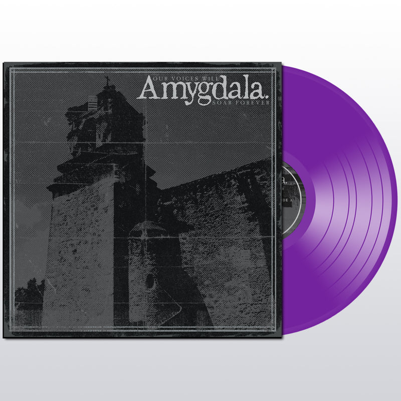 Amygdala "Our Voices Will Soar Forever" 12"