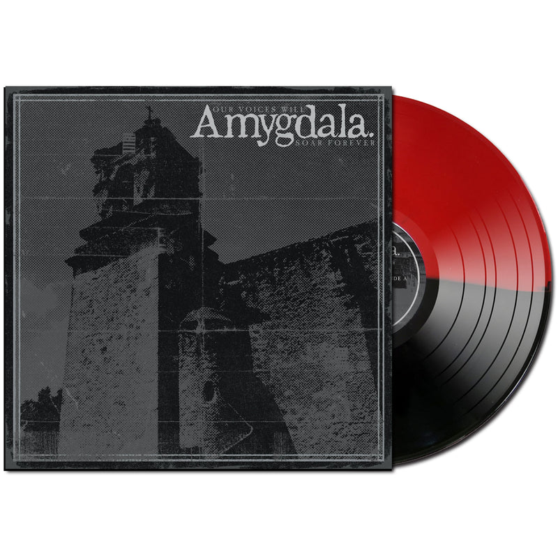 Amygdala "Our Voices Will Soar Forever" 12"