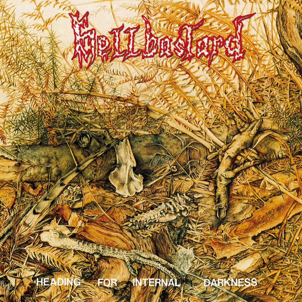 Hellbastard "Heading For Internal Darkness (Slipcase)" CD