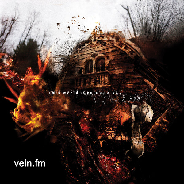 Vein.FM "This World Is Going To Ruin You" CD