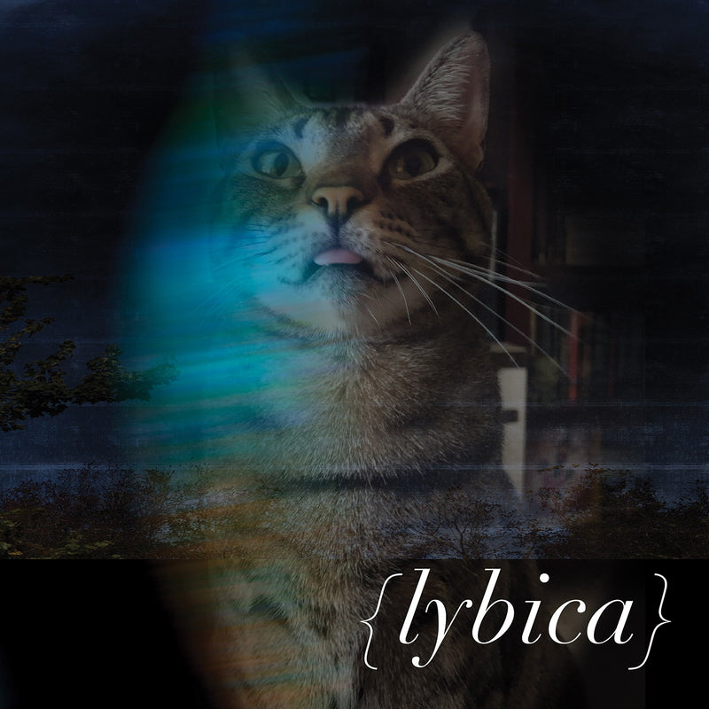 Lybica "Lybica (Clear Black Marbled)" 12"